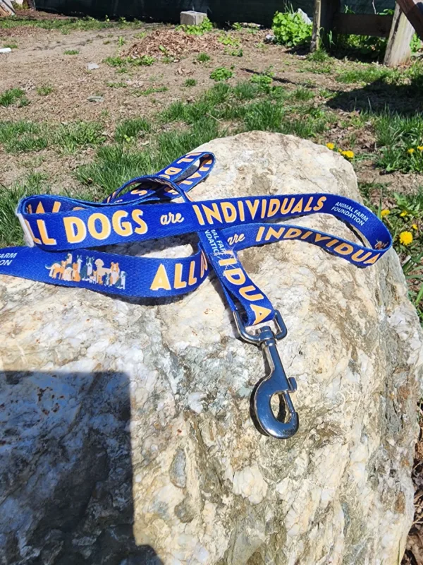 All Dogs Are Individuals Leash - Image 3