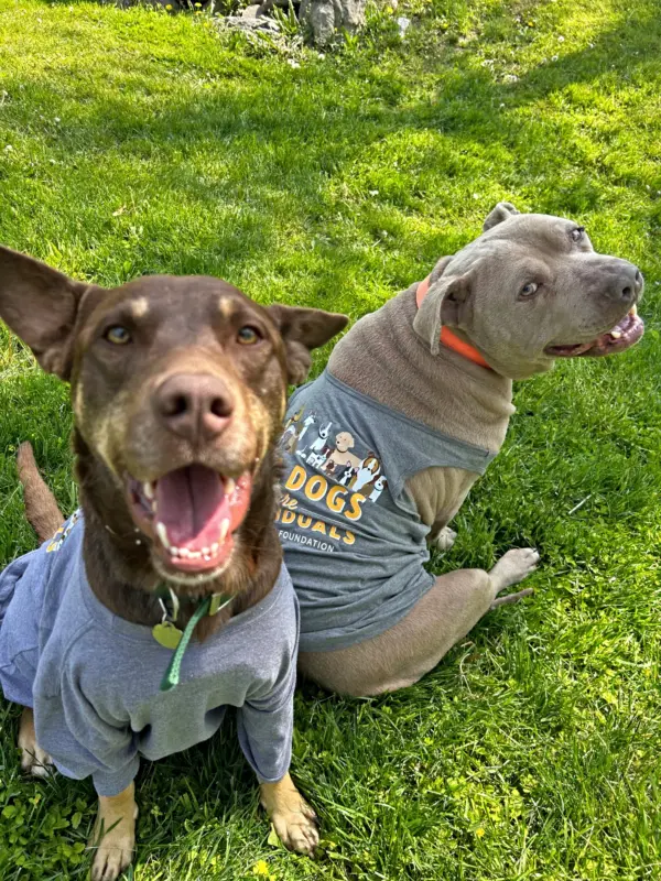 Tank Top - All Dogs Are Individuals - Image 2