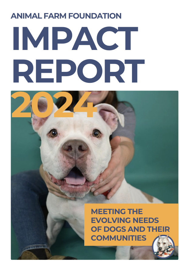 Cover of AFF impact report 2024