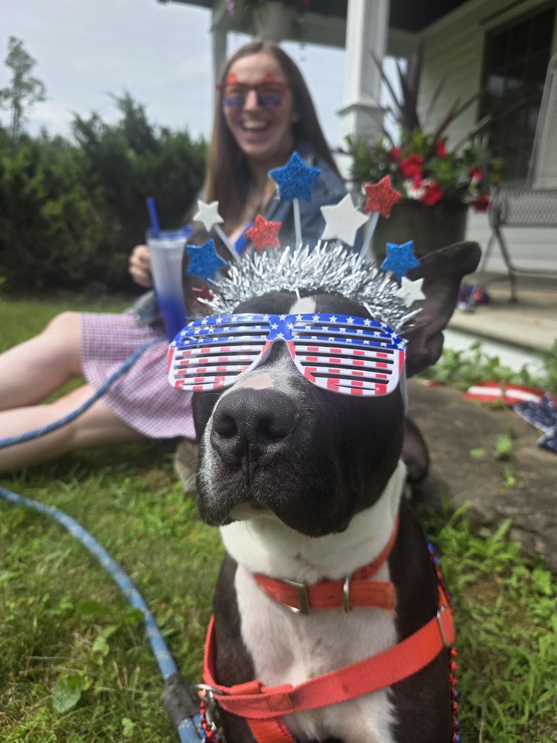 dog days storm recovery event