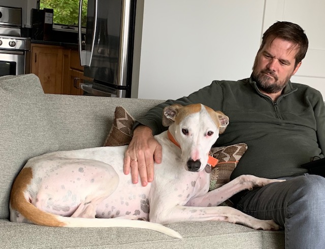 dog and man on couch