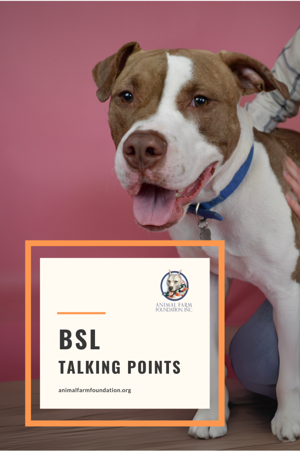 BSL-Talking-Points-ebook.pdf