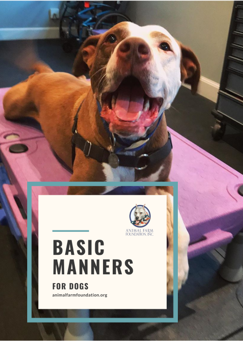 Basic Manners-DO NOT SHARE (2).pdf