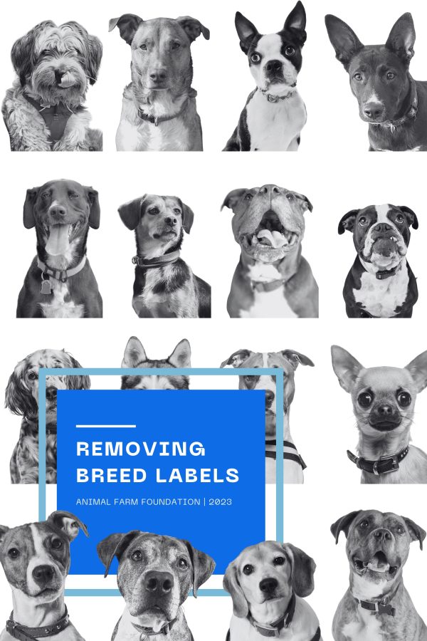Breed Labels Toolkit - 2021 - 2