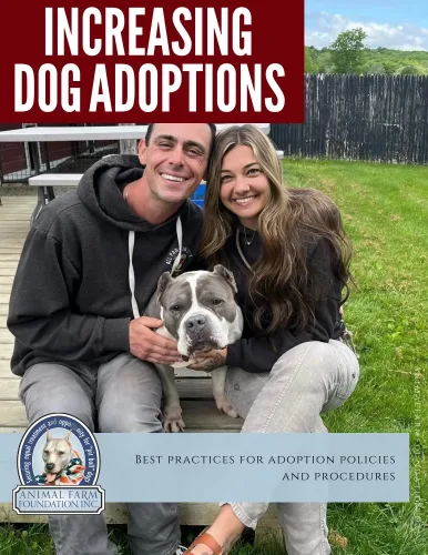 Dog Adoptions