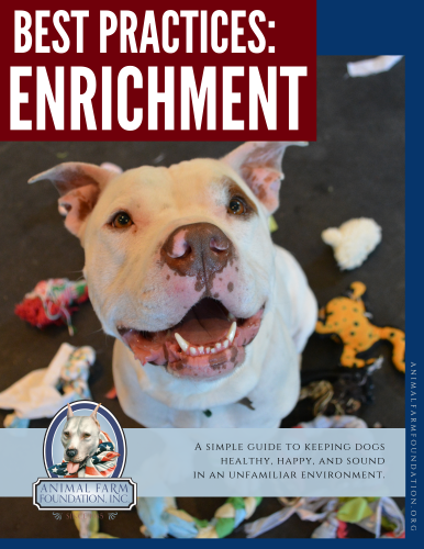 Kennel Enrichment - FULL Ebook