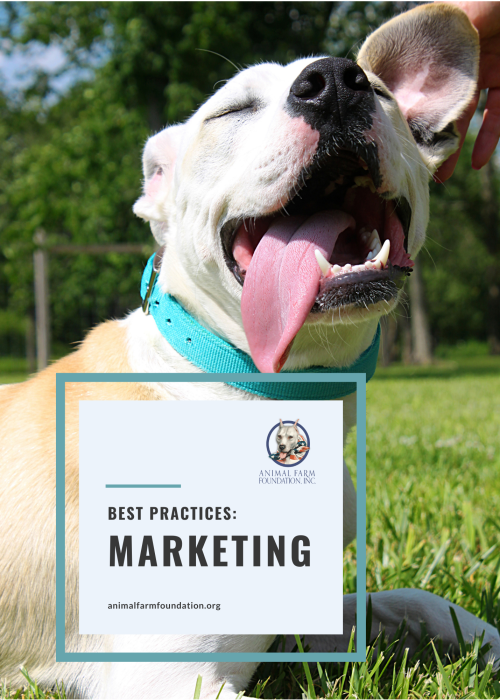 MARKETING Best Practices Full