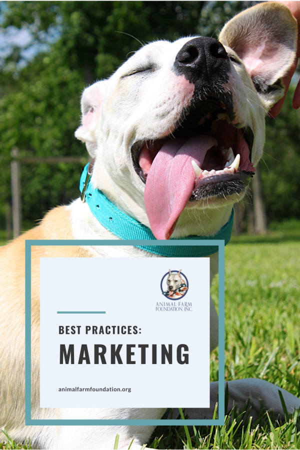 MARKETING Best Practices Full