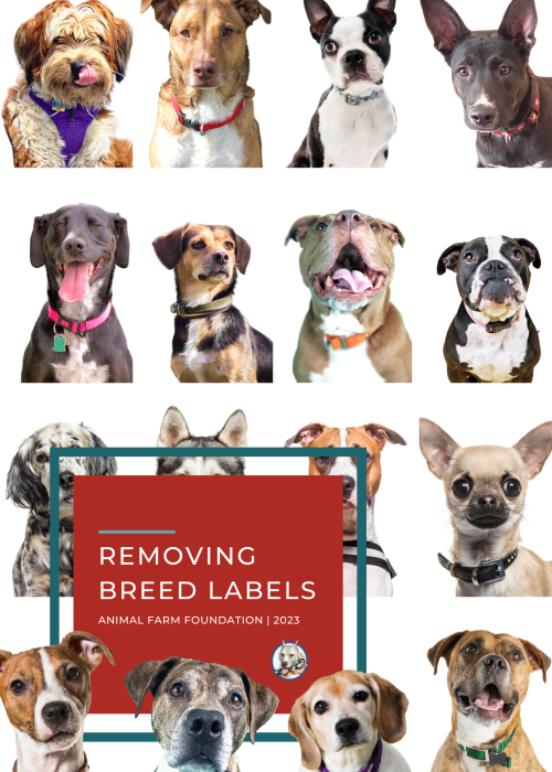 NEW 2021 Breed Labels ebook