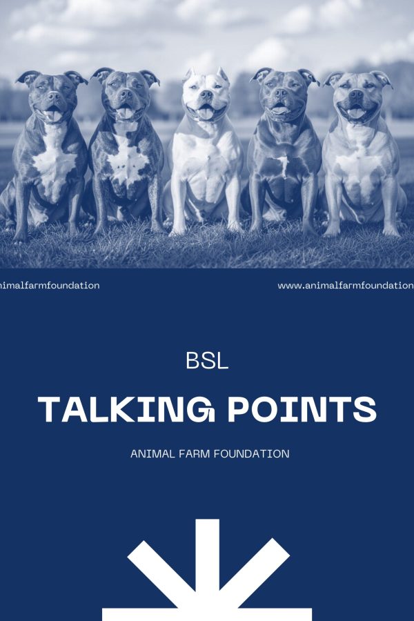 TALKINGPOINTS2