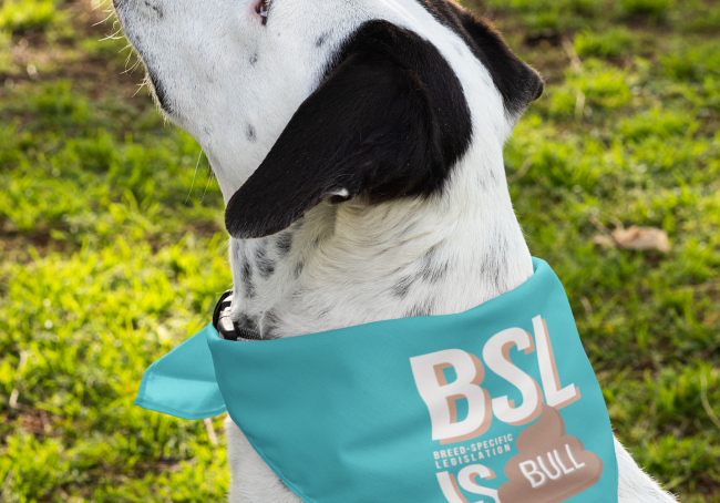 bandana-mockup-featuring-a-dog-outside-33286